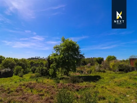 Excelente oportunidade de investimento em Santarinho, na freguesia de Orgens, em Viseu.