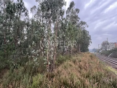 Terreno Rústico com 4.200 m² – Covelas, Trofa