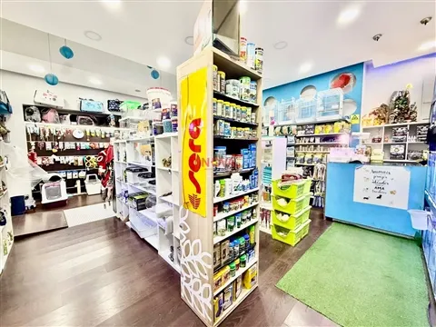 Ästhetische Salon