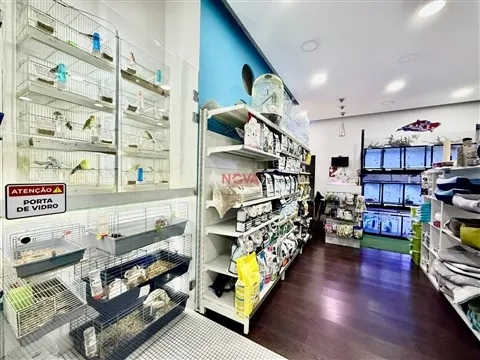 Ästhetische Salon