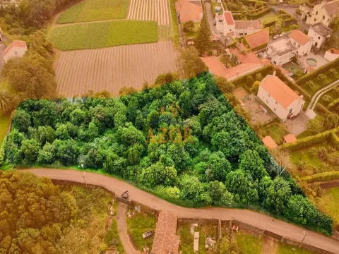 Terreno Rústico na Fajã de Baixo