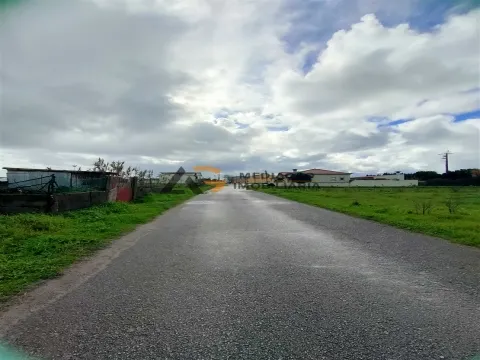 Terremo Rustico à venda na Gafanha da Encarnação 