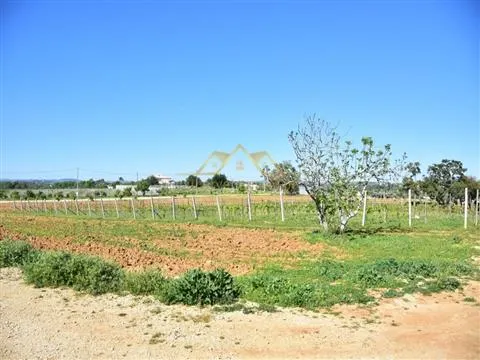 Farm with project for Rural Hotel - Albufeira