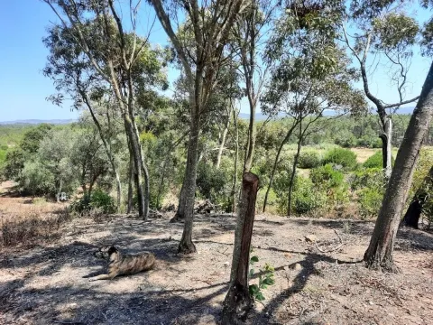 Terreno Rústico com 11 640 m2 em Aljezur