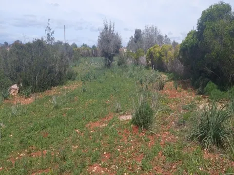 Terreno em Albufeira com 21.790 m2