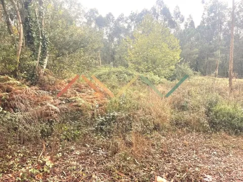 Terreno Para Construção