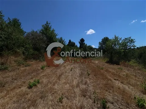 Quinta