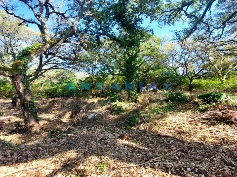 ANG1074 - Ruína para Venda em Alcanede, Santarém