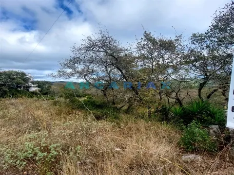 ANG1223 - Land for Sale in Alqueidão da Serra, Porto de Mós