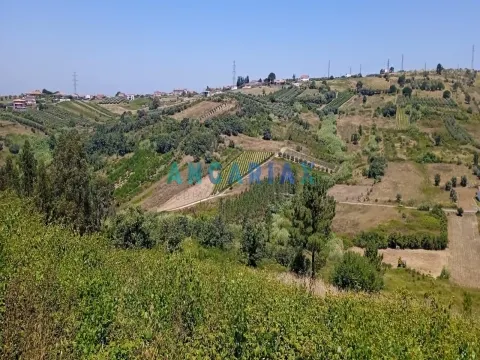 ANG1487 - Terreno para Venda em Batalha