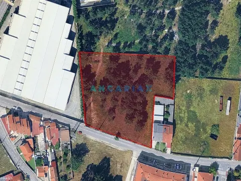 ANG1505 - Terreno para Venda em Marinha Grande