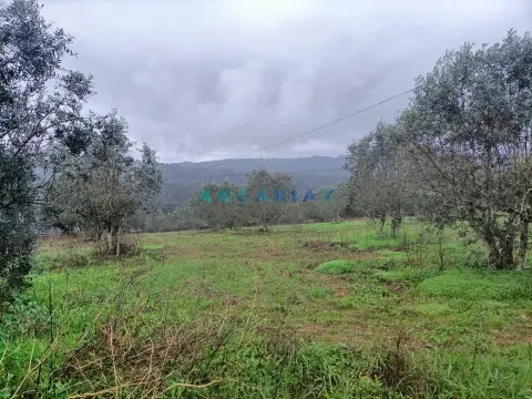 ANG1576 - Terrain à Vendre à Santa Catarina da Serra