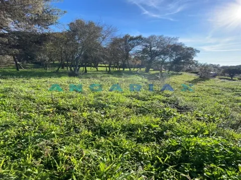 ANG1540 - Terreno para Venda em Alviobeira, Tomar