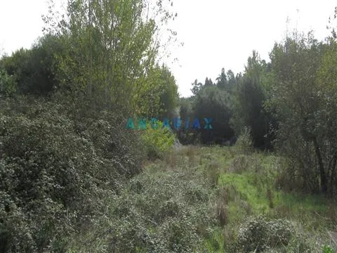 ANG593 - Terreno com 550m2 para Venda em Pombal