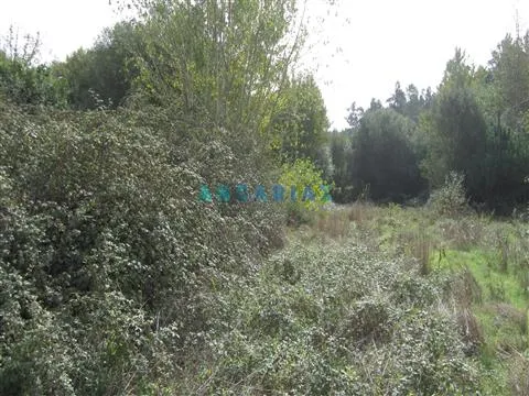 ANG593 - Terreno com 550m2 para Venda em Pombal