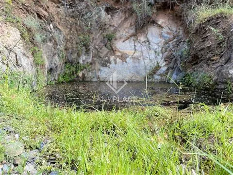 Homefall with enormous potential.