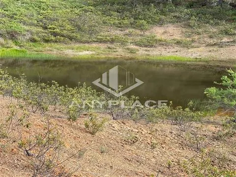 Homefall with enormous potential.