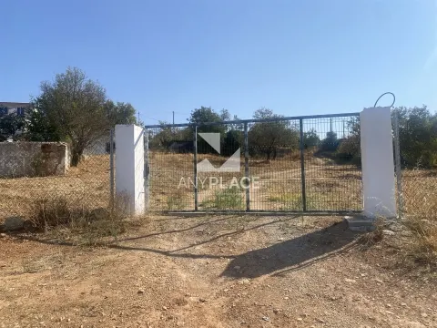 Excelente finca con chalet a reformar situada en una zona tranquila y valorada.