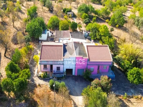 &#1058;&#1080;&#1087;&#1080;&#1095;&#1085;&#1072;&#1103; &#1074;&#1080;&#1083;&#1083;&#1072; &#1074; &#1040;&#1083;&#1075;&#1072;&#1088;&#1074;&#1077; &#1089; &#1086;&#1075;&#1088;&#1086;&#1084;&#1085;&#1099;&#1084; &#1087;&#1086;&#1090;&#1077;&#1085;&#1094;&#1080;&#1072;&#1083;&#1086;&#1084;, &#1088;&#1072;&#1089;&#1087;&#1086;&#1083;&#1086;&#1078;&#1077;&#1085;&#1085;&#1072;&#1103; &#1074;&#1089;&#1077;&#1075;&#1086; &#1074; 2 &#1084;&#1080;&#1085;&#1091;&#1090;&#1072;&#1093; &#1086;&#1090; &#1075;&#1086;&#1088;&#1086;&#1076;&#1072; &#1051;&#1091;&#1083;&#1077;.