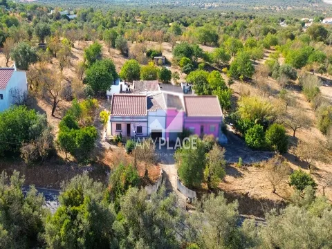 &#1058;&#1080;&#1087;&#1080;&#1095;&#1085;&#1072;&#1103; &#1074;&#1080;&#1083;&#1083;&#1072; &#1074; &#1040;&#1083;&#1075;&#1072;&#1088;&#1074;&#1077; &#1089; &#1086;&#1075;&#1088;&#1086;&#1084;&#1085;&#1099;&#1084; &#1087;&#1086;&#1090;&#1077;&#1085;&#1094;&#1080;&#1072;&#1083;&#1086;&#1084;, &#1088;&#1072;&#1089;&#1087;&#1086;&#1083;&#1086;&#1078;&#1077;&#1085;&#1085;&#1072;&#1103; &#1074;&#1089;&#1077;&#1075;&#1086; &#1074; 2 &#1084;&#1080;&#1085;&#1091;&#1090;&#1072;&#1093; &#1086;&#1090; &#1075;&#1086;&#1088;&#1086;&#1076;&#1072; &#1051;&#1091;&#1083;&#1077;.