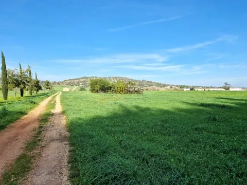 Terreno Rústico - Plano - Bons acessos - Perímetro de Rega - Odiáxere - Lagos - Algarve