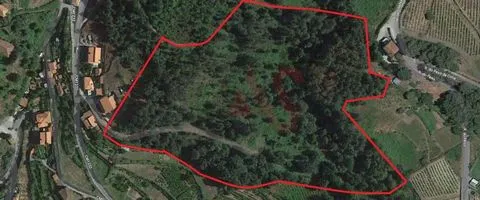 Terreno agrícola com 38.890m2 em S. M. Zêzere, Baião.