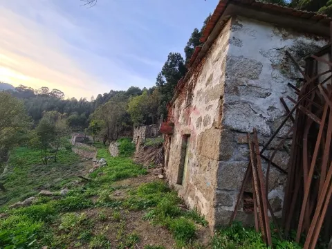 Quinta com 5 hectares e 9 casas para restaurar em Souselo, Cinfães
