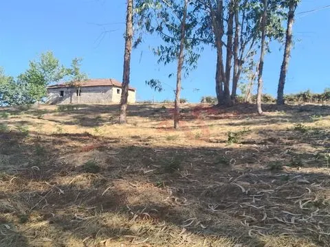 Villa de 1 dormitorio en reconstrucción con terreno de 22.000 m² – Constanza, Marco de Canaveses