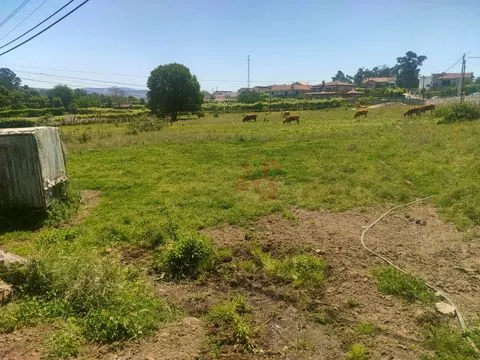 Fattoria di 19000m2 di cui 2000m2 urbanizzabili, composta da casa, mulino e altri 5 a Lousada