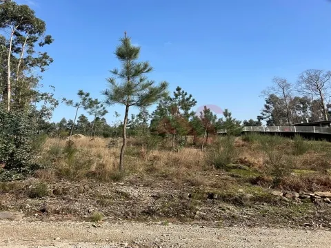 Terreno para Construção em Sanfins – 3.000 m² | Excelente Oportunidade