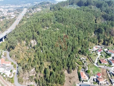 Terreno Florestal com 8.727 m² em Nespereira, Guimarães 