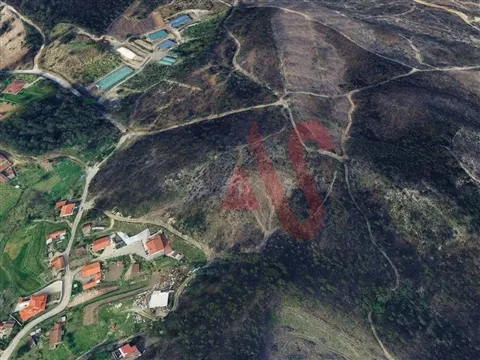 Terreno Florestal com 4800m2 em Silvares, Lousada