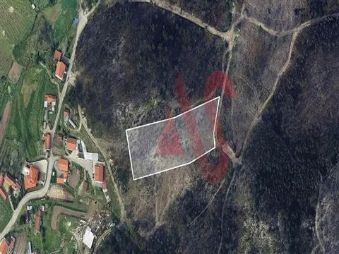 Terreno Florestal com 4800m2 em Silvares, Lousada