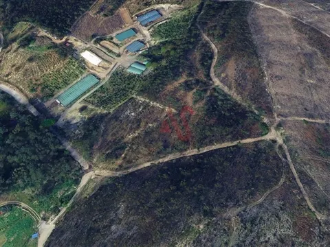 Terreno Florestal com 3300m2 em Silvares, Lousada