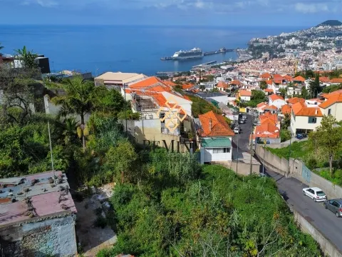 Land / Funchal, Madeira Island