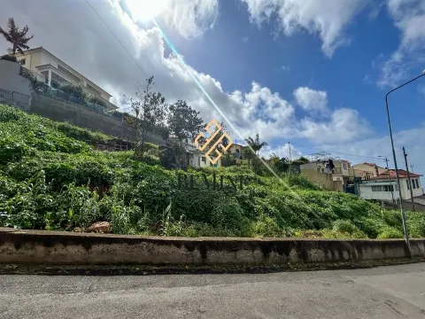 Land / Funchal, Madeira Island
