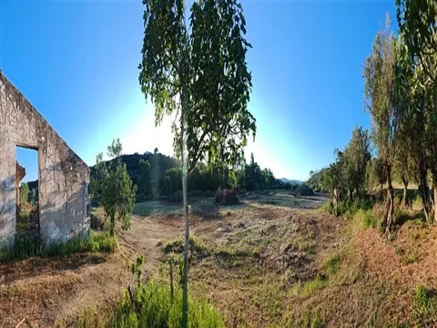 img_16