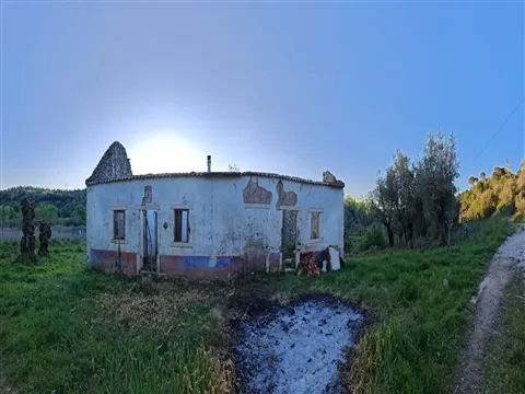 img_9