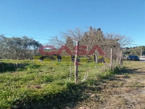 一块房地产 4个房间