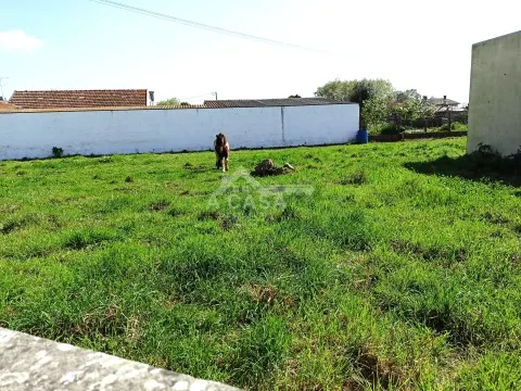 Terreno para construção com 1014 m2 e cerca de 45 m de frente em Pardilhó