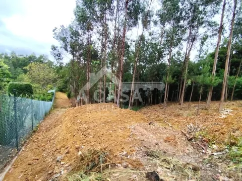 Terreno para construção em Lobão