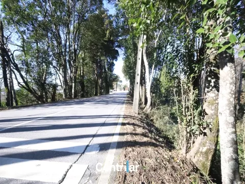 Terreno para construção de Pavilhão com 1.35 ha  junto à estrada nacional