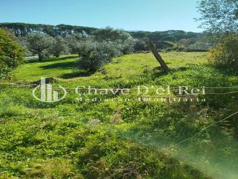 Petite ferme 3 Chambre(s)