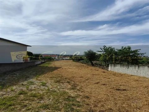 Terreno per Costruzione