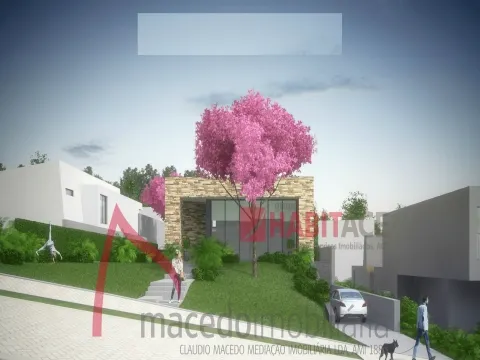 Lotes terreno em Palmeira