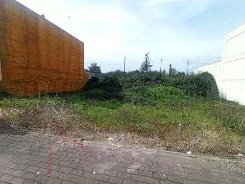 Moradia em estrutura para venda em Palmeira, Braga