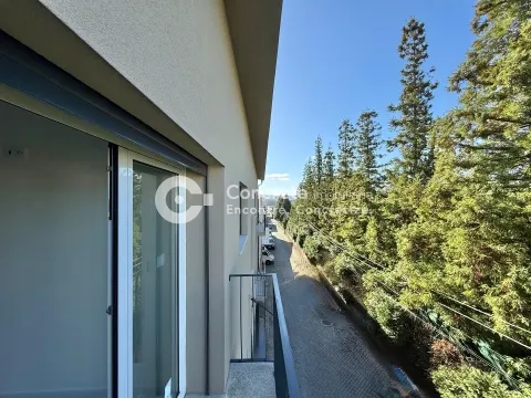 Wohnung 1 Schlafzimmer