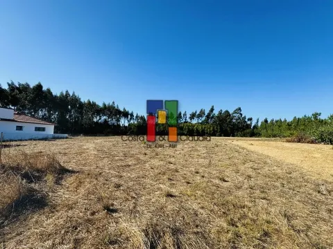 Real Estate building