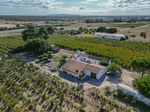 Quinta com 7 hectares e 6000 árvores de fruto no Poceirão