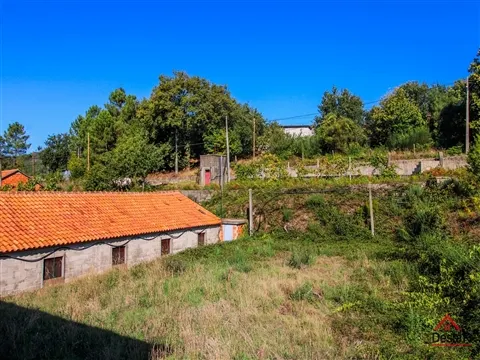 img_11